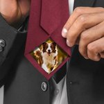 Personalized Pet Photo Patch Tie with Name and Gift Box Birthday Anniversary Father's Day Gift for Man Pet Lover