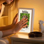 Personalised Pet Photo Bone Shape Light Photo Frame Mirror with Name Text and Year Sympathy Memorial Loss of Pet Gift for Pet Owners Lovers
