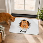 Personalised Pet Photo Bursting through the Wall Non-Slip Door Mat with Name Daily Use Housewarming Birthday Gift for Pet Lover