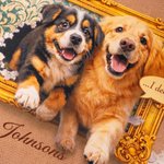 Personalized Pet Photo Non-Slip Door Mat with Title and Name Entryway Home Decor Housewarming Gift for Pet Owner Lover