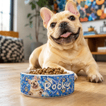 Personalised Pet Graffiti Oil Painting Style Photo Ceramic Pet Bowl with Name Daily Use Birthday Gift for Pet Lovers Friends