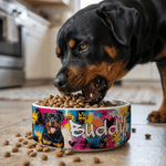 Personalised Pet Graffiti Oil Painting Style Photo Ceramic Pet Bowl with Name Daily Use Birthday Gift for Pet Lovers Friends