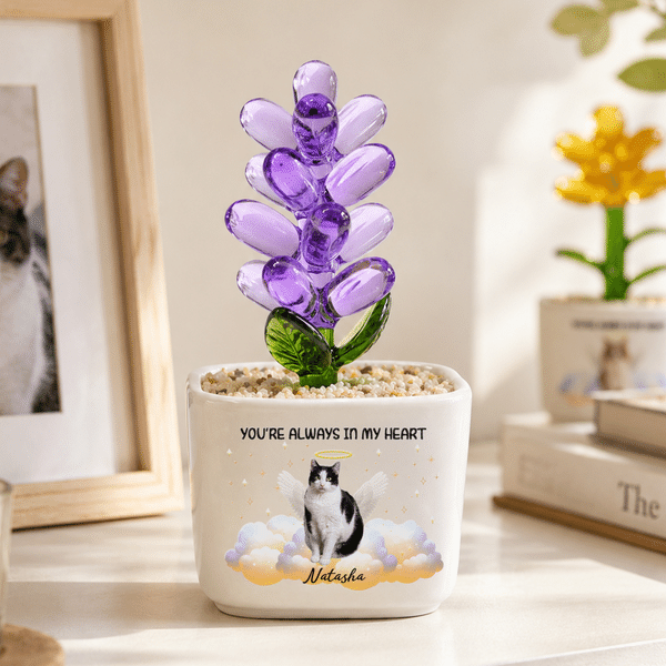 Personalized You're Always in My Heart Angel Wing Pet Photo Glass Plant Pot with Name Home Decor Memorial Sympathy Loss of Pet Gift for Pet Lover