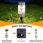 Personalized 3D Floral Pet Photo Solar Garden Light with Name and Date Garden Decor Memorial Sympathy Loss of Pet Gift for Pet Lovers