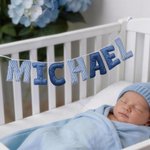 Personalized Floral Striped Letter Cozy Banner Decoration with Name Nursery Decor Baby Shower Baby Announcement Gift for Baby New Parent