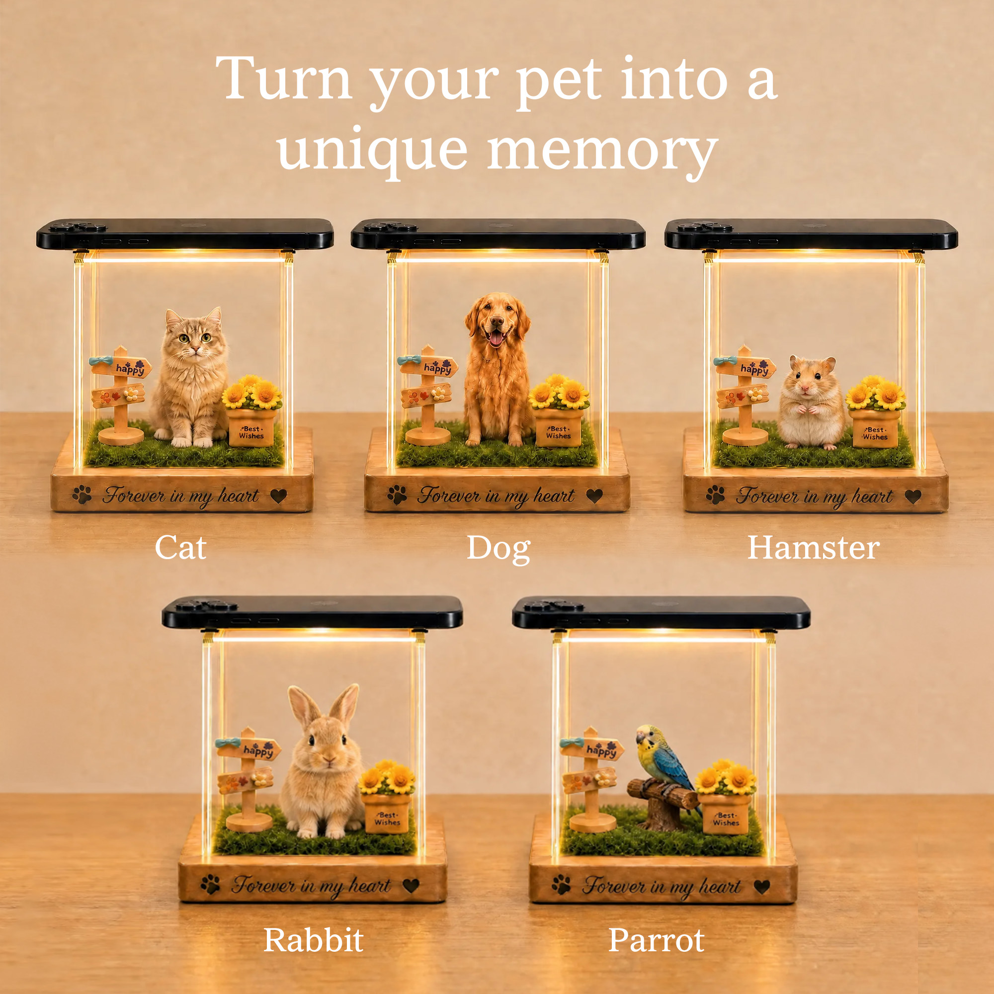 Pet showcase