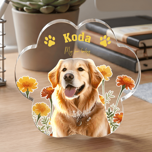 Personalized Birth Flower Paw Prints Clear Paw Print Shape Acrylic Ornament with Pet Photo and Name Home Decor Pet Party Gift for Pet Owners