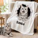 Personalized Cute Breakout Wall Pet Photo Soft Throw Blanket with Name Home Decor Daily Use Birthday Gift for Pet Lovers Friends