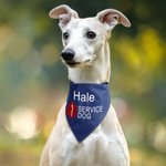 Personalised Star of Life Adjustable Buttons ESA Emotional Support Dog Cat Bandana with Embroidered Name Identification Birthday Gift for Pet Lover