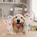 Personalised Birth Flower Paw Prints Clear Paw Print Shape Acrylic Ornament with Pet Photo and Name Home Decor Pet Party Gift for Pet Owners