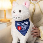 Personalised Star of Life Adjustable Buttons ESA Emotional Support Dog Cat Bandana with Embroidered Name Identification Birthday Gift for Pet Lover