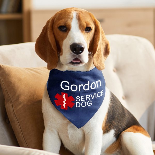 Personalized Star of Life Adjustable Buttons ESA Emotional Support Dog Cat Bandana with Embroidered Name Identification Birthday Gift for Pet Lover