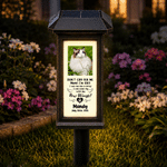 Lampe solaire de jardin personnalisée « Don't Cry For Me » avec photo de votre animal, son nom et la date — Décoration de jardin, cadeau de condoléances pour les propriétaires d'animaux de compagnie