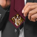 Personalized Pet Photo Patch Tie with Name and Gift Box Birthday Anniversary Father's Day Gift for Man Pet Lover