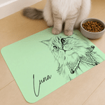 Tapis d'alimentation imperméable pour animaux de compagnie, personnalisé avec une photo de votre animal dessinée à la main dans un style croquis, avec son nom. Décoration d'intérieur, accessoires pour