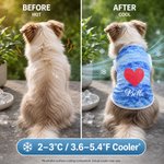 Personalized Dog Cat Pet Cooling Suit with Name Red Heart Bone Paw Print Outdoor Activities Pet Party Birthday Gift for Pet Owners