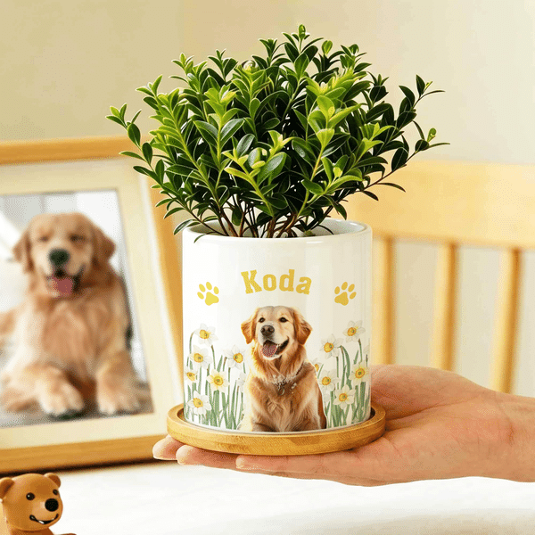 Personalized Birth Flower Pet Photo Paw Print Ceramic Plant Pot with Name and Bamboo Tray Daily Use Birthday Gift for Pet Owner Lover