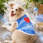 Personalized Dog Cat Pet Cooling Suit with Name Red Heart Bone Paw Print Outdoor Activities Pet Party Birthday Gift for Pet Owners