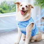 Personalized Dog Cat Pet Cooling Suit with Name Red Heart Bone Paw Print Outdoor Activities Pet Party Birthday Gift for Pet Owners