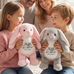 Personalised Line Art Style Photo Cartoon Sheep Bunny Bear Fantasy Unicorn Plush Toy with Text Daily Use Birthday Gift for Family