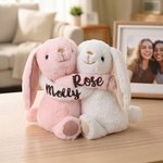 Personalized Pair Hugging Lavender Scented Doll Bunny with Names Splitable Stuffed Toys Wedding Anniversary Birthday Gift for Bestie Couple