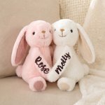 Personalized Pair Hugging Lavender Scented Doll Bunny with Names Splitable Stuffed Toys Wedding Anniversary Birthday Gift for Bestie Couple