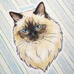 Custodia protettiva multicolore personalizzata a strisce per iPad con 1-3 foto di animali domestici, con nome: regalo commemorativo per compleanni e anniversari per gli amanti degli animali domestici