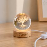 Personalized Four-Leaf Cover Round Crystal Ball LED Night Light with Name and Wooden Base Home Decor Birthday Gift for Kids Friends