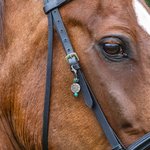 Personalised Turquoise Beads Horseshoe Keychain Lucky Charm with Text Rider Protection Birthday Anniversary Gift for Horse Lovers Equestrians