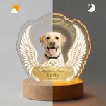 Veilleuse LED personnalisée en acrylique avec photo d'ailes d'ange, socle en bois, nom, texte et année : décoration d'intérieur, cadeau d'anniversaire ou en souvenir pour les propriétaires d'animaux d