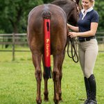 Personalized Horse Silhouette Pattern Horse Tail Protector Bag with Name Daily Horse Grooming Use Show Competition Gift for Horse Owners Lovers