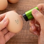 Personalised Chicken Design Name Safe Egg Stamp with Food Grade Ink and Box Birthday Gift for Family Farmer Breeder