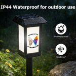 Personalised Colourful Wing Paw Print Pet Photo Solar Garden Light with Name and Text Memorial Gift for Pet Owners