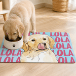 Personalised Hand-Painted Watercolour Photo Cat Dog Food Mat with Name Pet Supplies Birthday Gift for Pet Owners Lovers