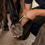 Personalised Horse Hoof Pick with Text and Logo Horse Grooming Tool Birthday Gift for Horse Owners