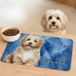 Personalised Oil Painting Style Pet Photo Food Mat with Name Home Decor Pet Supplies Birthday Gift for Pet Owners