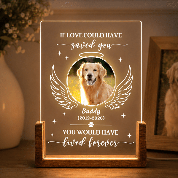 Personalized Pet Photo Angel Wings Acrylic LED Night Light with Name and Wooden Base Pet Memorial Sympathy Gift for Pet Owner