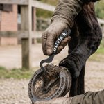 Personalised Horse Hoof Pick with Text and Logo Horse Grooming Tool Birthday Gift for Horse Owners