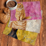 Personalised Oil Painting Style Pet Photo Food Mat with Name Home Decor Pet Supplies Birthday Gift for Pet Owners