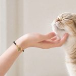 Personalized Pet Photo Bracelet with Engraved Name Birthday Pet Remembrance Gift for Pet Owners Lovers