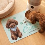 Individuell gestaltete Hundefuttermatte aus PU-Leder mit Aquarellfoto des Haustiers und Namen – Ruheplatz für Haustiere, für den täglichen Gebrauch, Geburtstagsgeschenk für Tierfreunde und Freunde