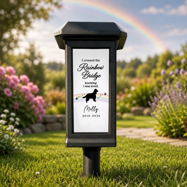 Personalized I Crossed the Rainbow Bridge Knowing I Was Loved Solar Garden Light with Name and Date Garden Decor Pet Memorial Gift for Pet Owner
