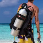 Personalised Embroidered Sea Turtle Water-Resistant Dive Tank Strap with Name Diving Expeditions Accessory Training Gift for Divers Scuba
