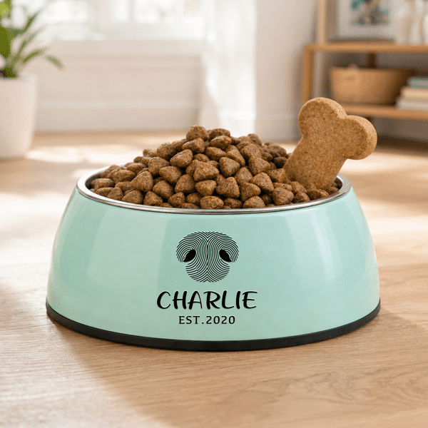 Personalized Dog Cat Nose Food-Grade Stainless Steel Non-Slip Pet Bowl with Name Pet Feeding Supplies Birthday Gift for Pet Owners
