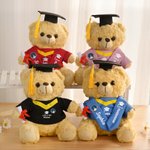 Personalized Cute Graduation Teddy Bear Plush Toy with Sash Name Year and School Logo Graduation Gift for Graduates