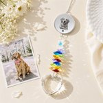 Personalized Love Crystal Pet Photo Memorial Suncatcher with Name Window Hanging Decor Loss of Pet Memorial Gift for Pet Owner