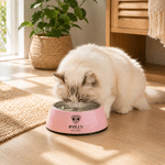 Personalized Dog Cat Nose Food-Grade Stainless Steel Non-Slip Pet Bowl with Name Pet Feeding Supplies Birthday Gift for Pet Owners