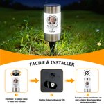 Lampe solaire de jardin personnalisée avec nom et date - Cadeau commémoratif pour la famille