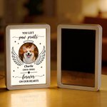 Personalized Pet Photo LED Mirror Photo Frame with Name and Date Sympathy Memorial Daily Use Gift for Pet Lovers Owners Friends