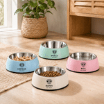 Personalized Dog Cat Nose Food-Grade Stainless Steel Non-Slip Pet Bowl with Name Pet Feeding Supplies Birthday Gift for Pet Owners